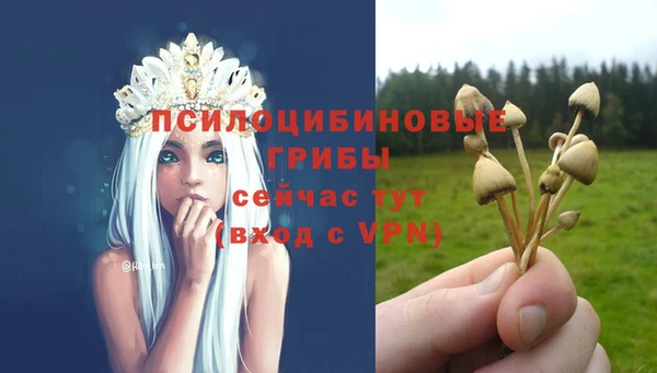 spice Баксан