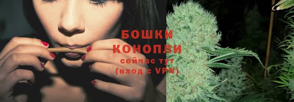 spice Баксан