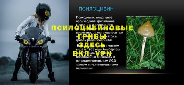 spice Баксан