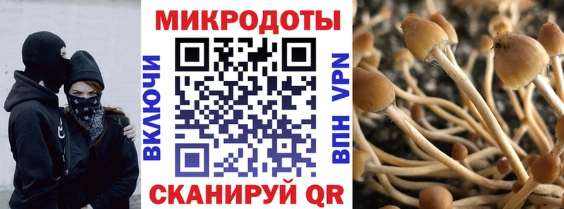 ссылка на мегу онион  сколько стоит  Уяр  Псилоцибиновые грибы прущие грибы 